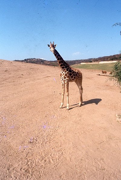 img060.jpg