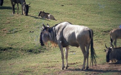 img066.jpg
