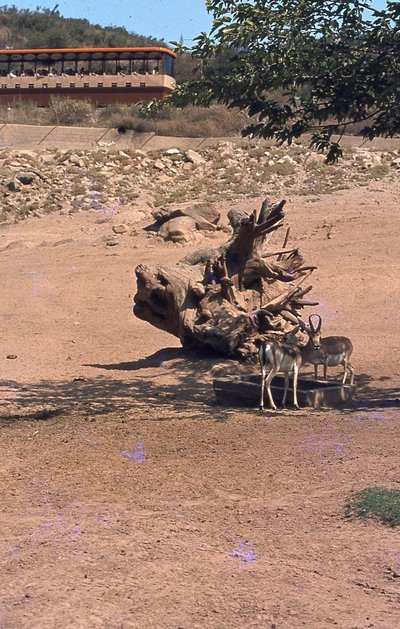 img074.jpg