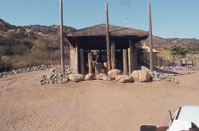 img075.jpg