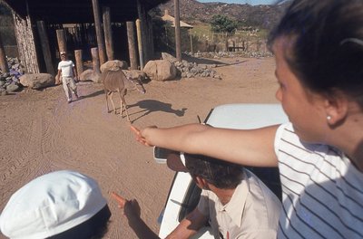 img076.jpg