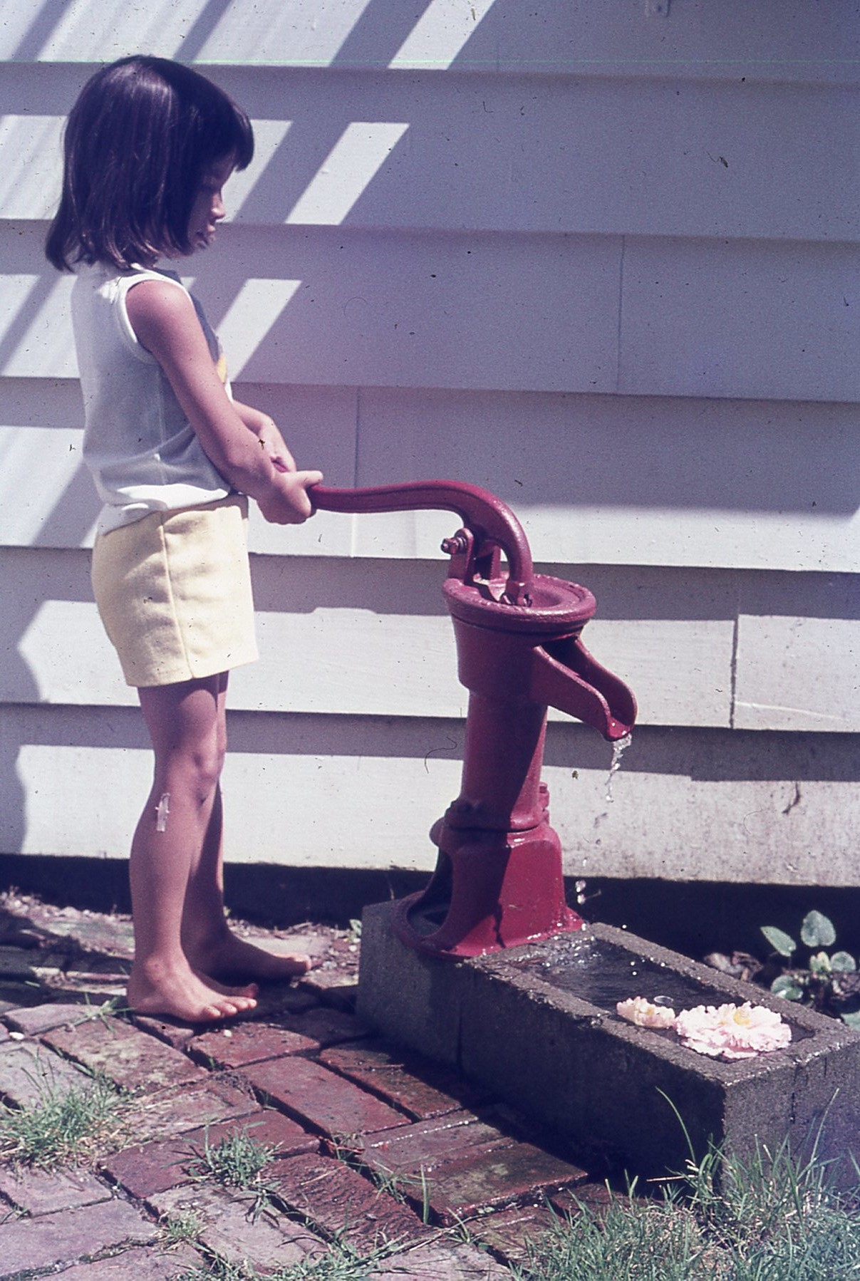 img423.jpg